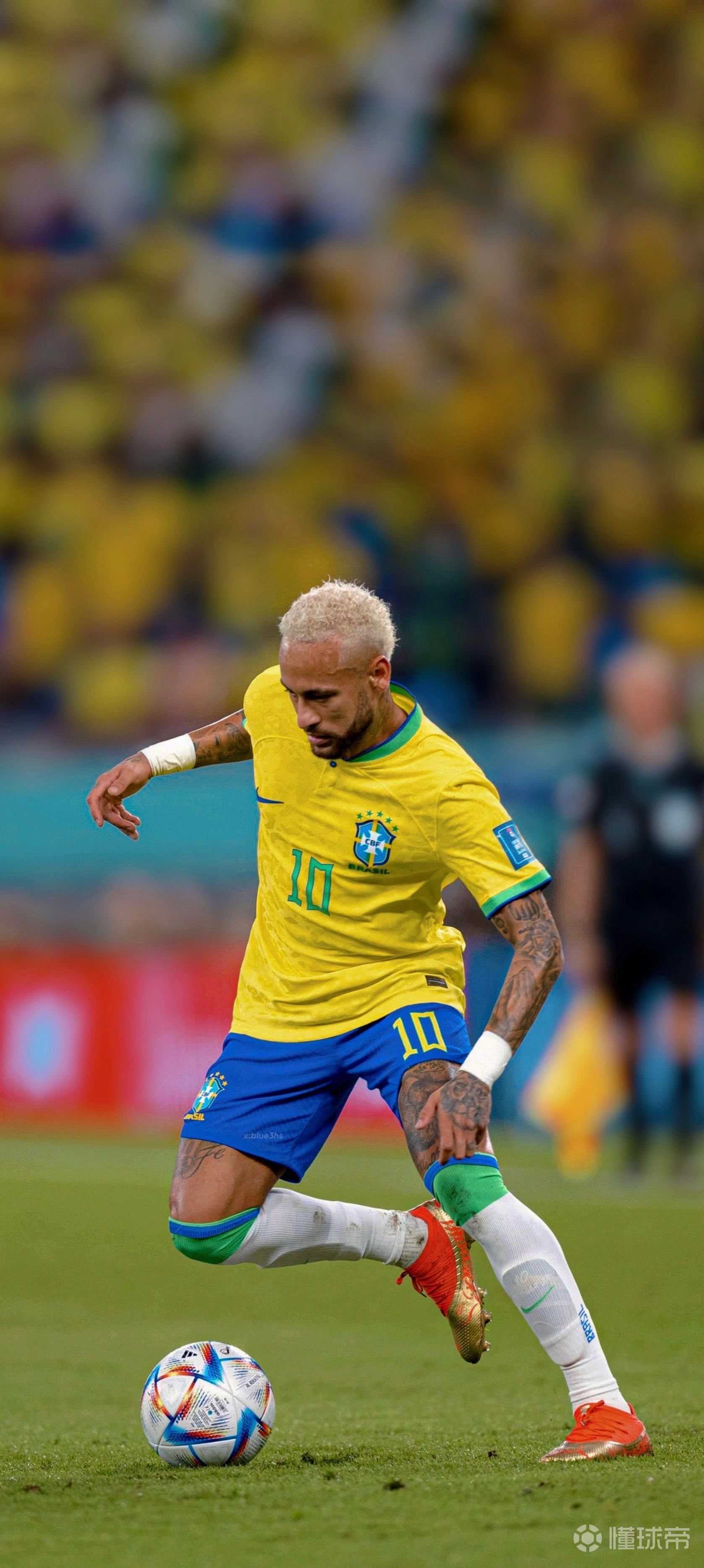 阿达尼：阿根廷并非世界杯夺冠最大热门；罗德里比佩德里重要（阿达尼：阿根廷不是世界杯最大热门，罗德里比佩德里更关键）