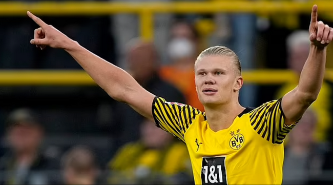 记者：2026年元旦前后津门虎收队冬训，先去海口再去海外拉练（记者：津门虎将于2026年元旦前后集结冬训，先赴海口再转战海外拉练）