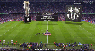 英超七季唯一每季参与进球上双：布鲁诺-费尔南德斯